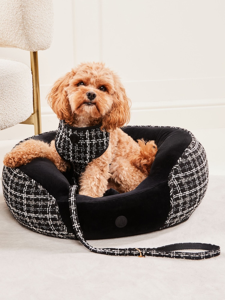 Lipsy Black Print Boucle Dog Bed - Image 1 of 4