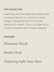 Lipsy Champagne Premium Hotfix Bardot Maxi Dress - Image 5 of 5