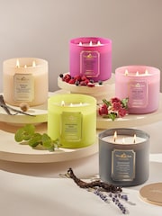 Bath & Body Works Rosewater And Ivy 3-Wick Candle 14.5 oz / 411 g - Image 5 of 9