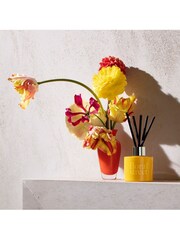 Floral Street Vanilla Bloom Scent Diffuser - Image 4 of 5