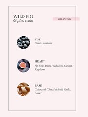 Grace Cole Wild Fig & Pink Cedar Hand Care Duo Set 2x300ml - Image 8 of 8