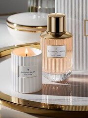 Estée Lauder Blushing Sands Scented Candle - Image 2 of 3
