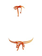 Pour Moi Orange India Recycled Triangle Bikini Top - Image 5 of 5