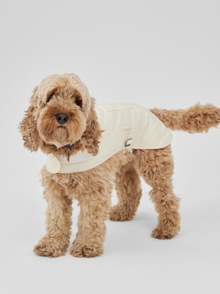 Society 8 Cream Quilted Fur Coat - Dog - Image 1 of 4 Society 8 Cream Quilted Fur Coat - Dog - Image 1 of 4