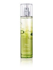 Caudalie Fleur de Vigne Fresh Fragrance - Image 1 of 3