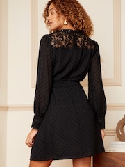 Love & Roses Black Lace Yoke Dobby Skater Dress - Image 3 of 4