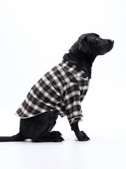 Gap Black & White Check Pet Pyjamas - Image 2 of 4