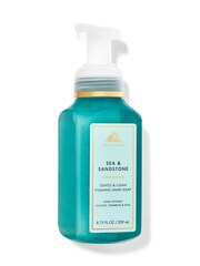 Bath & Body Works Gentle and Clean Foaming Hand Soap 8.75 fl oz / 259 mL - Image 1 of 1
