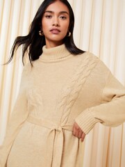 Friends Like These Camel Roll Neck Belted Knitted Jumper Dress - Image 3 of 4