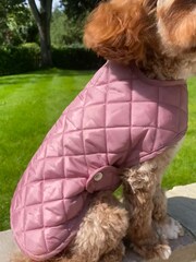 Lipsy Pink Quilted Check Pet Jacket - Image 2 of 2