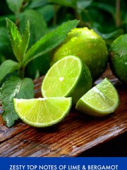 Baylis & Harding Citrus, Lime   Mint Mens Refreshing Travel  Essentials Gift Set - Image 1 of 4