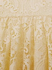 Reiss Lemon Daia 4-9 yrs Fit-and-Flare Lace Dress - Image 6 of 6