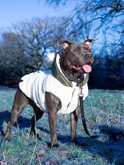 Rosewood Green Reversible Teddy Bear Reversible Parka Dog Coat - Image 1 of 4