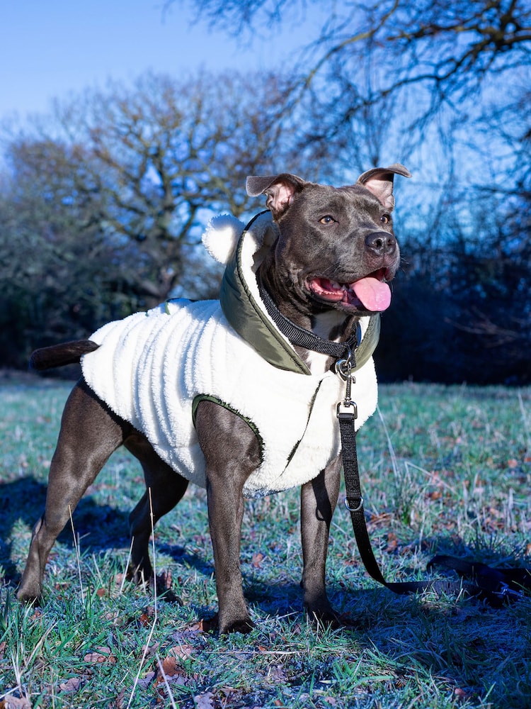 Rosewood Green Reversible Teddy Bear Reversible Parka Dog Coat - Image 1 of 4
