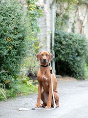 Hugo & Hudson Black Rope and Suede Leather Dog Lead - Image 1 of 6