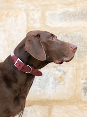 Hugo & Hudson Burgundy Red Rope and Suede Leather Dog Collar - Image 1 of 6