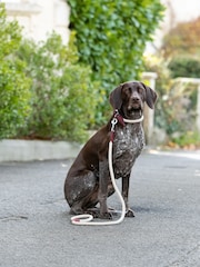 Hugo & Hudson Red Rope and Suede Leather Dog Lead - Image 1 of 6