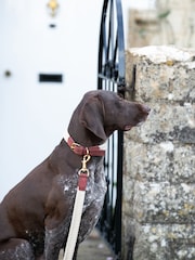 Hugo & Hudson Brown Flat Rope Leather Dog Lead - Image 2 of 6
