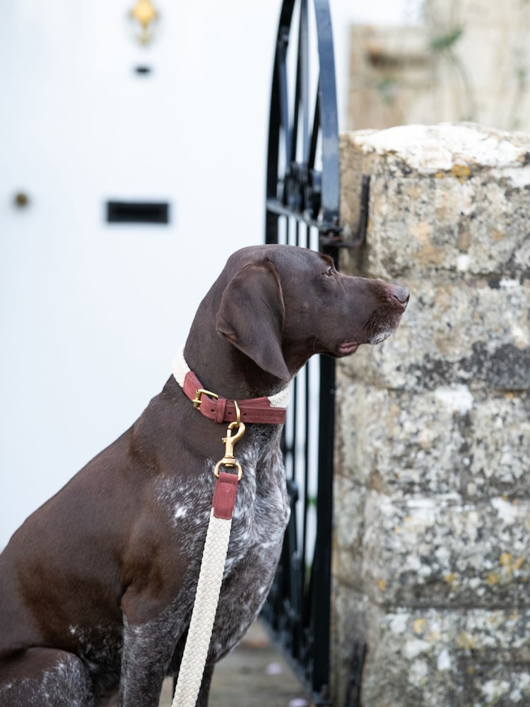 Hugo & Hudson Brown Flat Rope Leather Dog Lead - Image 2 of 6
