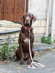 Hugo & Hudson Brown Rope and Suede Leather Dog Collar - Image 2 of 6
