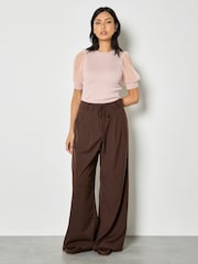 Apricot Brown Pleat Detail Wide-Leg Trousers - Image 1 of 4