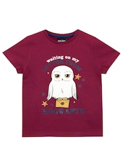 Character Blue Letter From Hogwarts Harry Potter 100% Cotton Pyjamas - Image 2 of 3