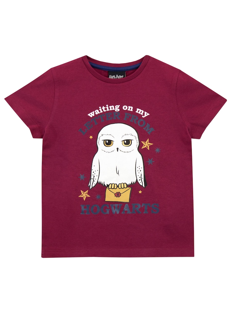 Character Blue Letter From Hogwarts Harry Potter 100% Cotton Pyjamas - Image 2 of 3
