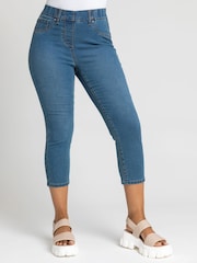 Roman Blue Petite Cropped Jeggings - Image 1 of 5
