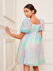 Lipsy Pink/Blue/Purple Rainbow Organza Occasion Dress (2-16yrs) - Image 4 of 4