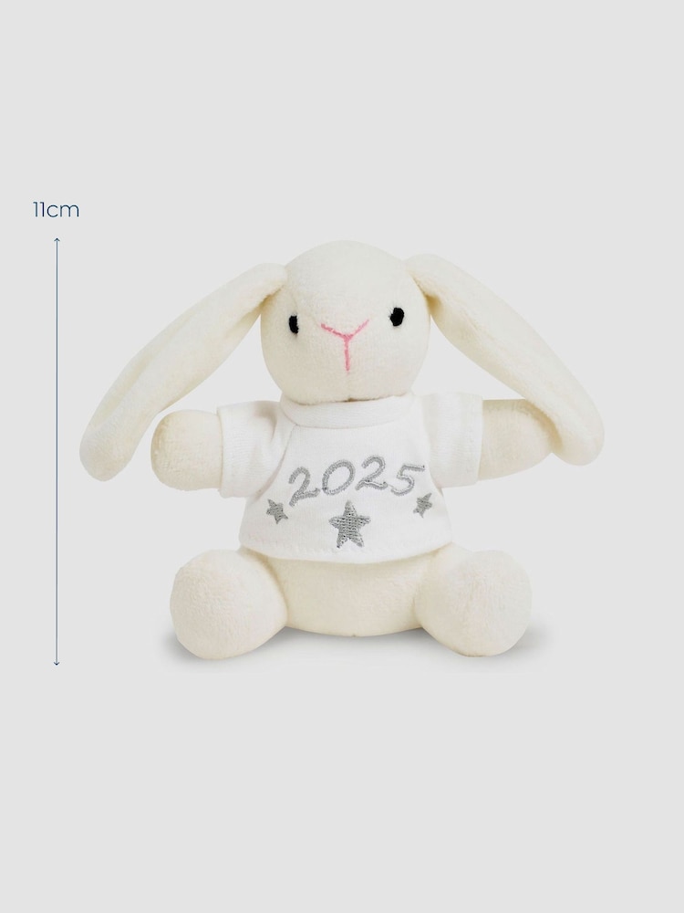 JoJo Maman Bébé Born in 2025 Bunny - Image 3 of 3