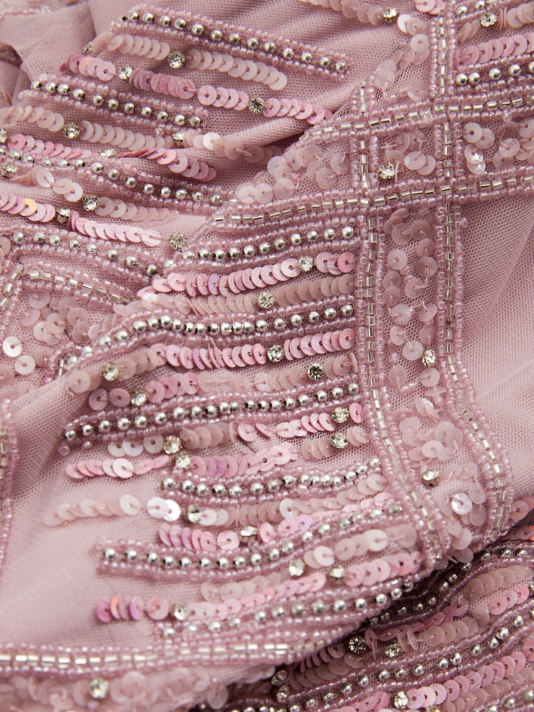 Raishma Pink Embellished Mesh Sheer Sleeve Maxi Dress - Image 5 of 5