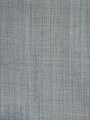 Grey Regular Fit Signature Nova Fides Wool Jacket - Image 9 of 9