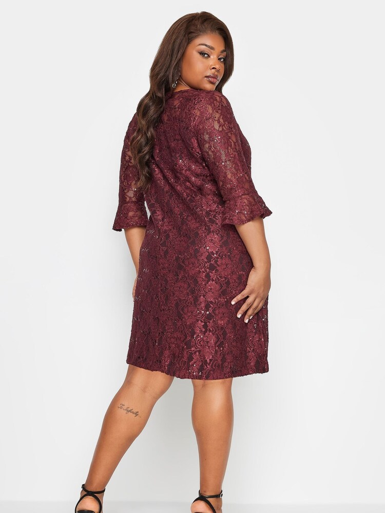 Yours Curve Red Sweetheart Lace Swing Dress - Image 2 of 4