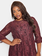 Yours Curve Red Sweetheart Lace Swing Dress - Image 4 of 4