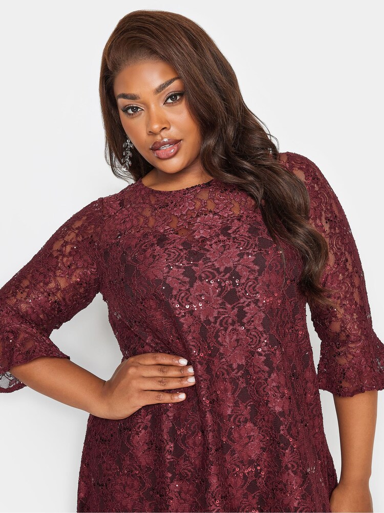 Yours Curve Red Sweetheart Lace Swing Dress - Image 4 of 4