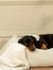 Lords and Labradors Ivory Dog & Puppy Boucle Blanket - Image 2 of 6