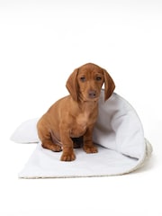 Lords and Labradors Ivory Dog & Puppy Boucle Blanket - Image 3 of 6
