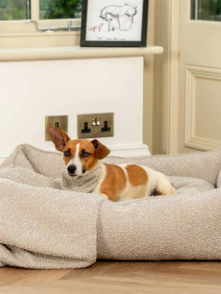 Lords and Labradors Mink Brown Bouclé Box Dog Bed - Image 1 of 5