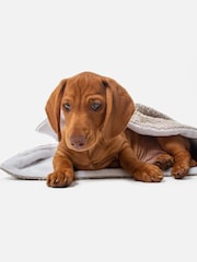 Lords and Labradors Mink Brown Dog & Puppy Boucle Blanket - Image 1 of 5
