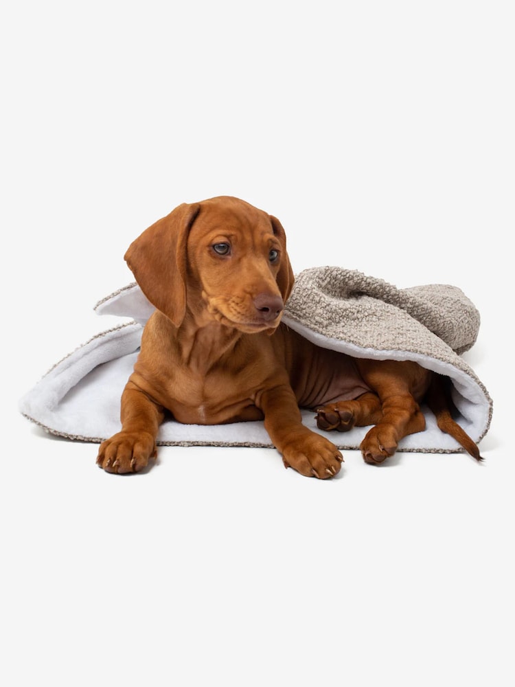 Lords and Labradors Mink Brown Dog & Puppy Boucle Blanket - Image 2 of 5