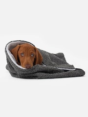 Lords and Labradors Grey Dog & Puppy Boucle Blanket - Image 1 of 4