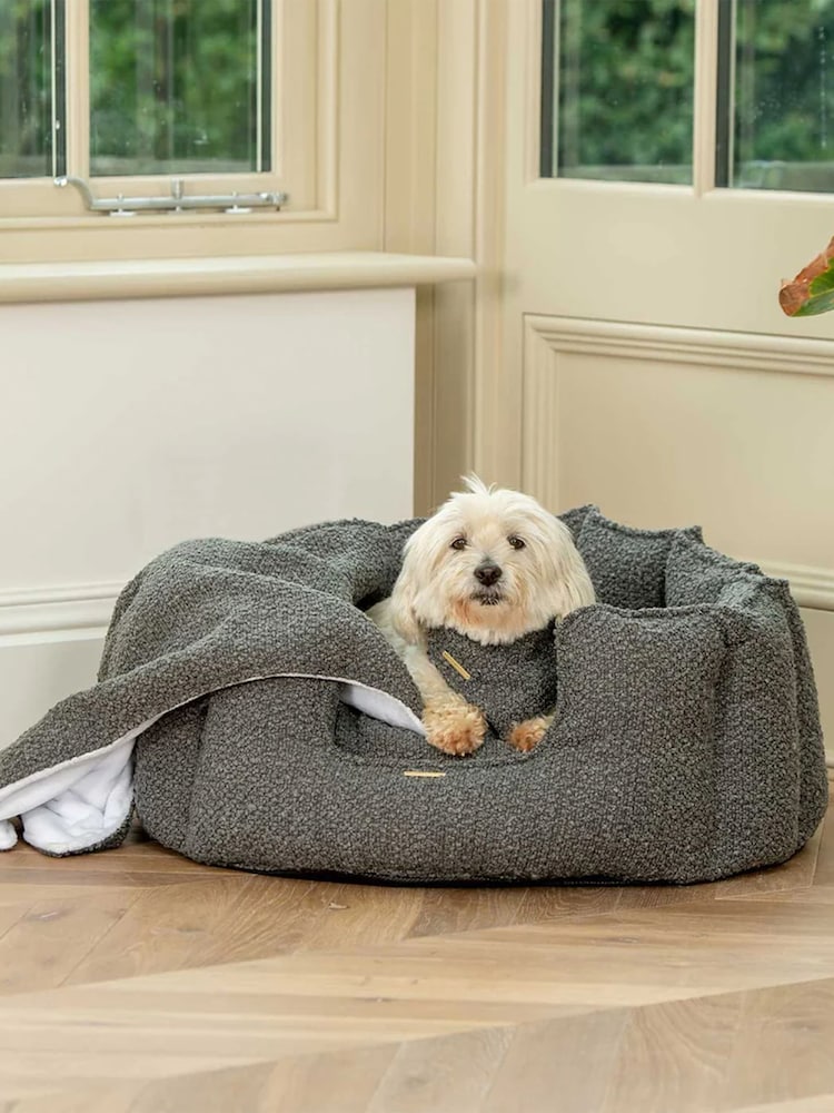 Lords and Labradors Grey Dog & Puppy Boucle Blanket - Image 2 of 4