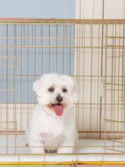 Lords and Labradors Gold Heavy Duty Deluxe Dog Crate - Image 4 of 6