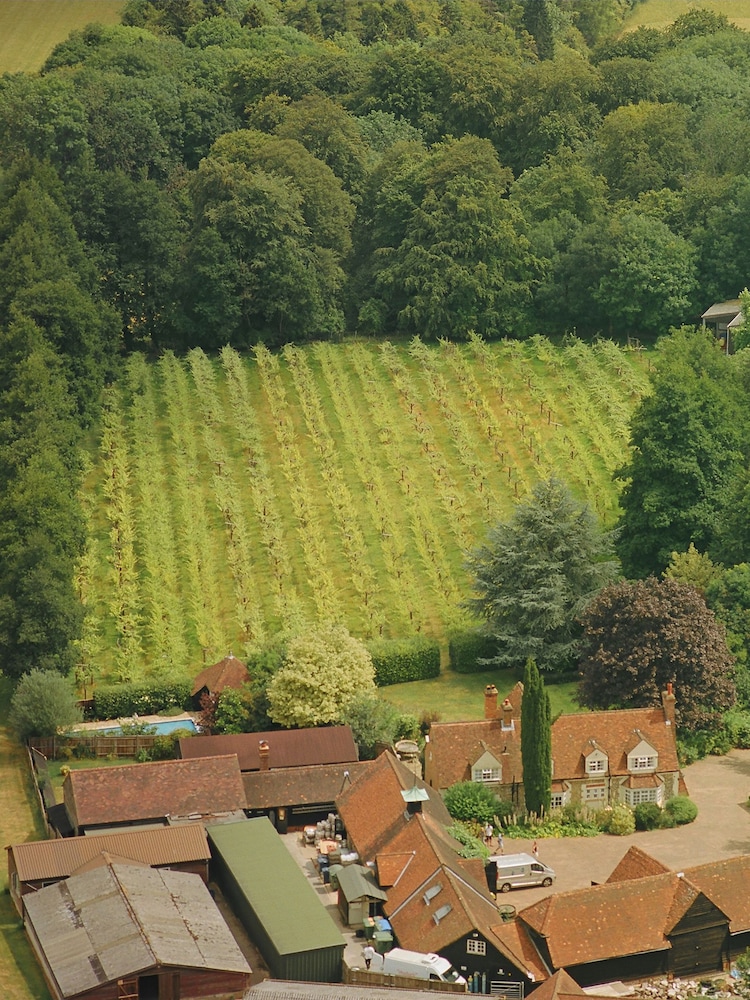 AS Deluxe English Vineyard Discovery - Image 4 of 4