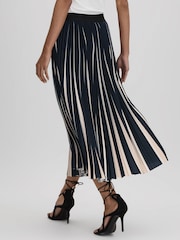 Reiss Navy/Cream Saige Pleated Striped Midi Skirt - Image 5 of 6