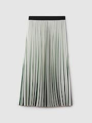Reiss Green/Cream Saige Pleated Striped Midi Skirt - Image 2 of 7