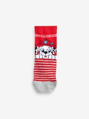 PAW Patrol License Character Cotton Rich Socks 5 Pack - Image 6 of 8