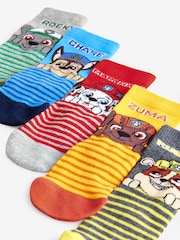 PAW Patrol License Character Cotton Rich Socks 5 Pack - Image 7 of 8