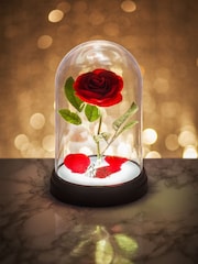 Disney Enchanted Rose Light - Image 1 of 3