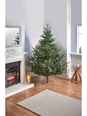 Premier Decorations Ltd Green Glenshee Spruce PE/PVC Natural Look 6ft Christmas Tree - Image 1 of 4